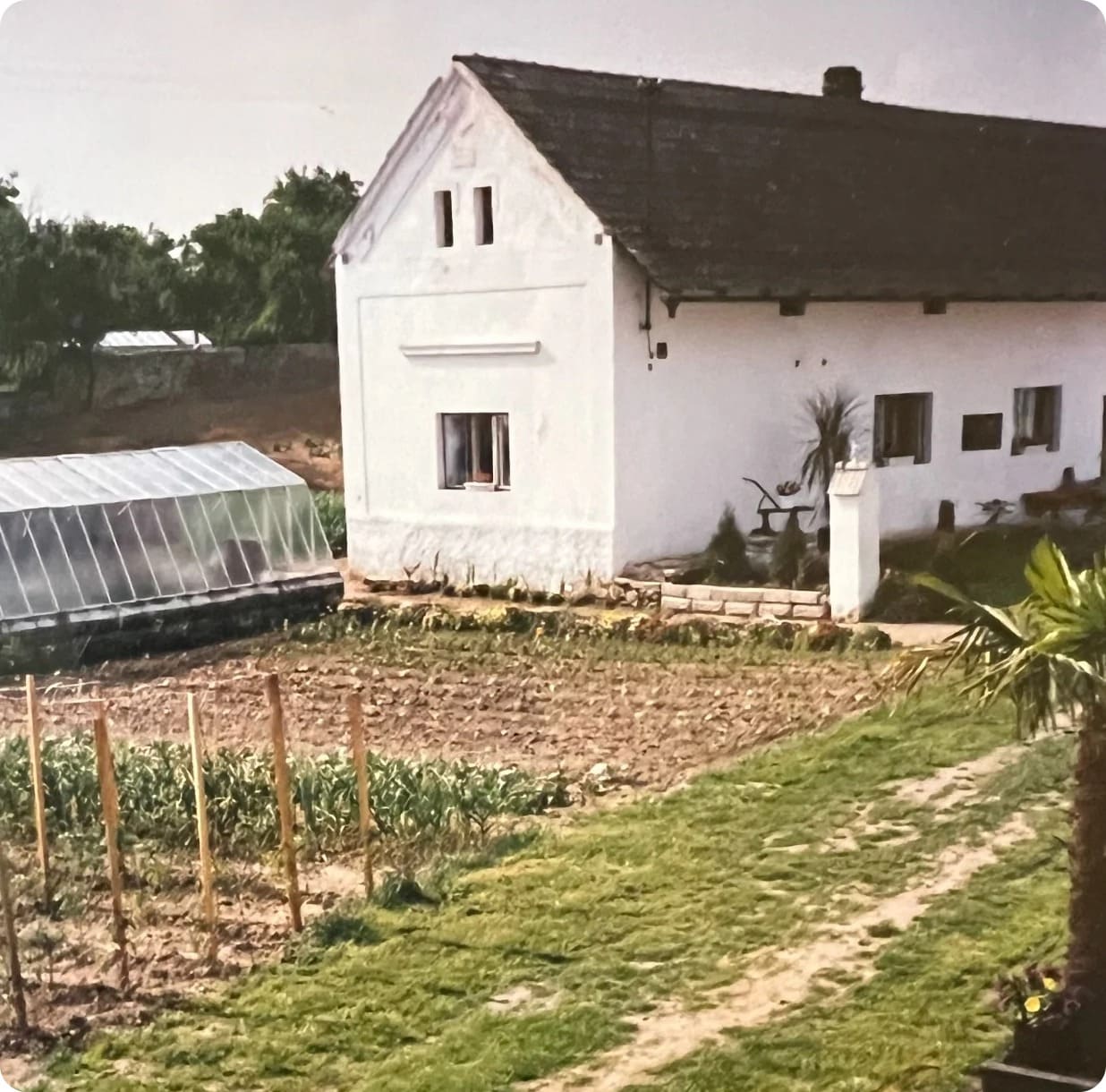 Farma Sedlčánky - rok 1989